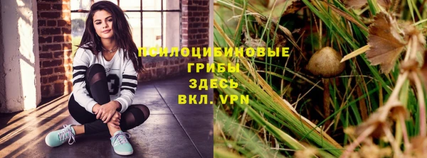 мяу мяу мука Беломорск