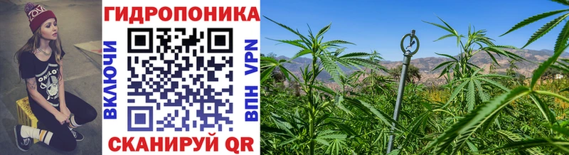 сколько стоит  Кондрово  Канабис MAZAR 